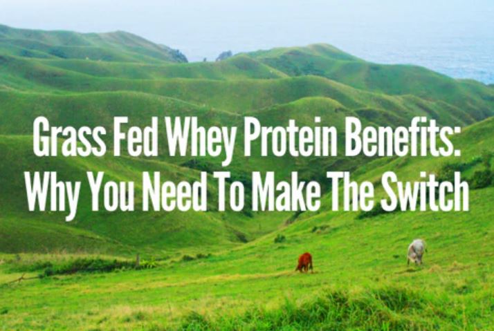 grass-fed